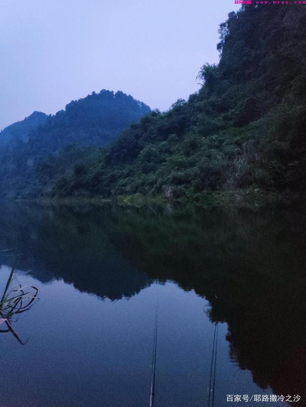 成都周边野钓推荐葫芦口水库钓鲢鳙巴适得很(图1)