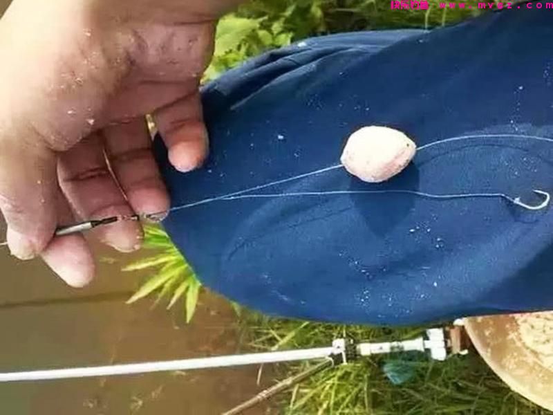 手竿钓鲢鳙其实不难，前提是得掌握这些技巧(图4)