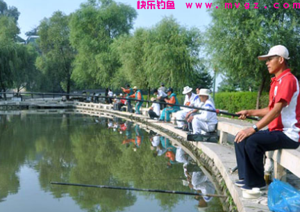 鲢鳙就该这样钓，掌握了这几个小技巧之后，轻松爆护不是梦！(图1)