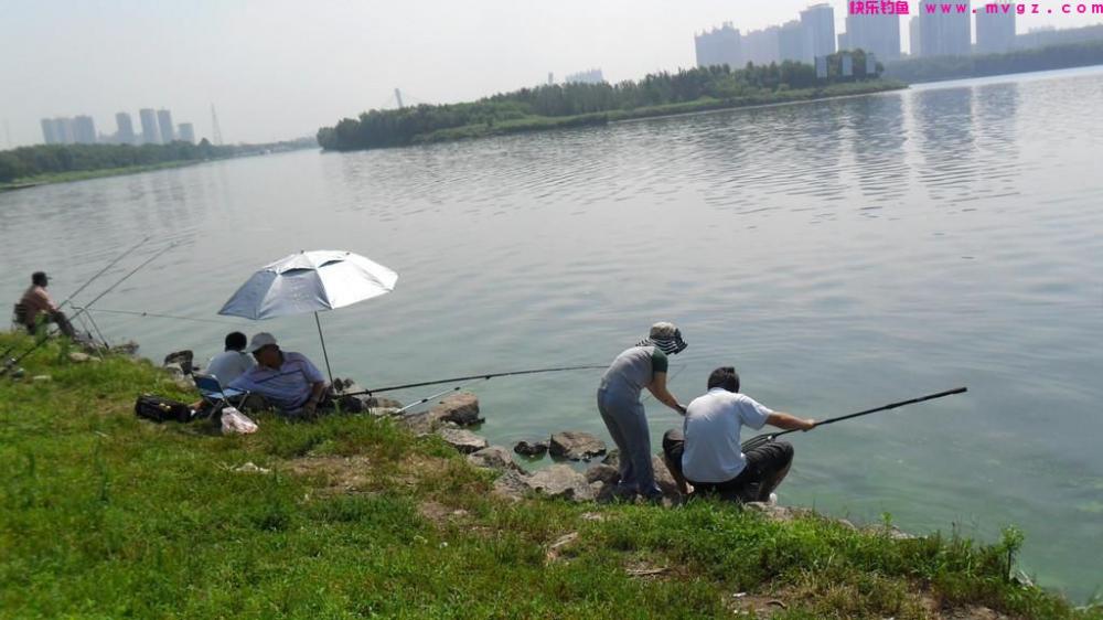 三分钓技，七分位，想要钓到大鲢鳙，就要找准合适的钓点(图2)
