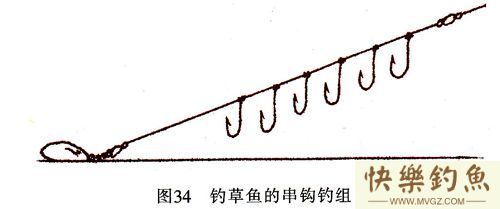 高手分享垂钓草鱼、青鱼的实用技巧[很详细](图1)