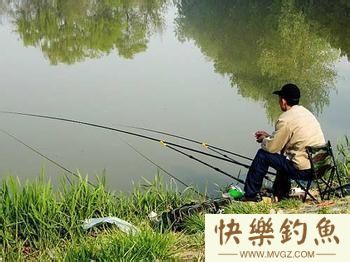 如何钓鱼系列之如何垂钓青鱼（习性钓法）(图2)