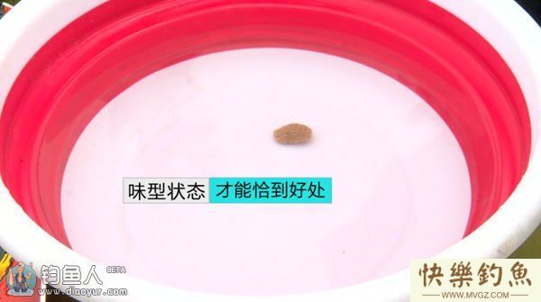 钓青鱼的四个技巧及中鱼扬竿事项(图2)