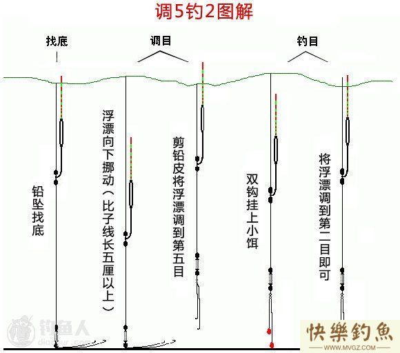 钓青鱼调漂方法及调五钓二图解(图1)
