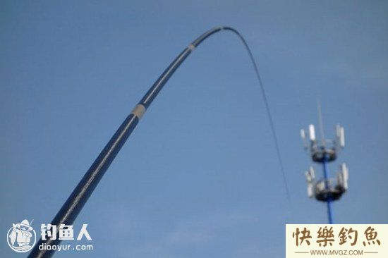 初春坑塘钓青鱼技巧（钓位、饵料、装备）(图3)