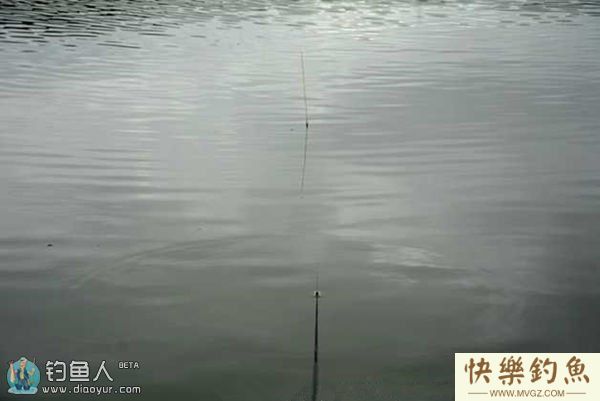 徐清华解答冬季钓鱼技巧（附巨青饵料配方）(图1)