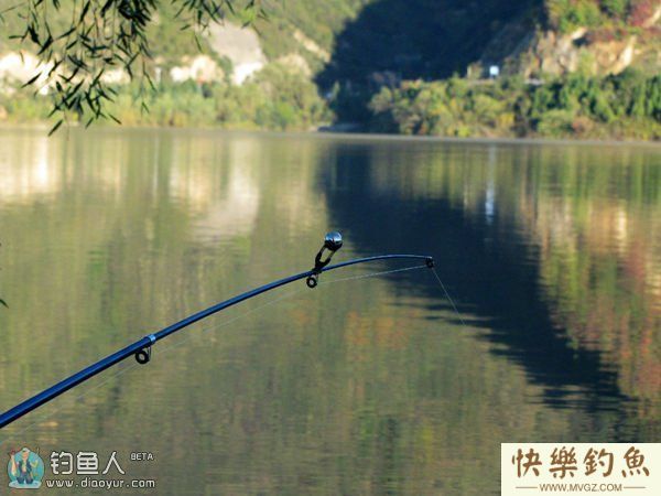 垂钓青鱼时的调漂及提竿要领(图1)