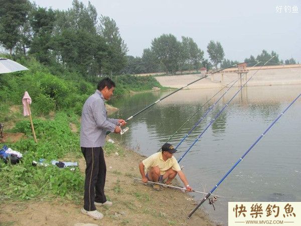抛竿串钩钓罗非的钓饵钓点选择及钓法(图1)