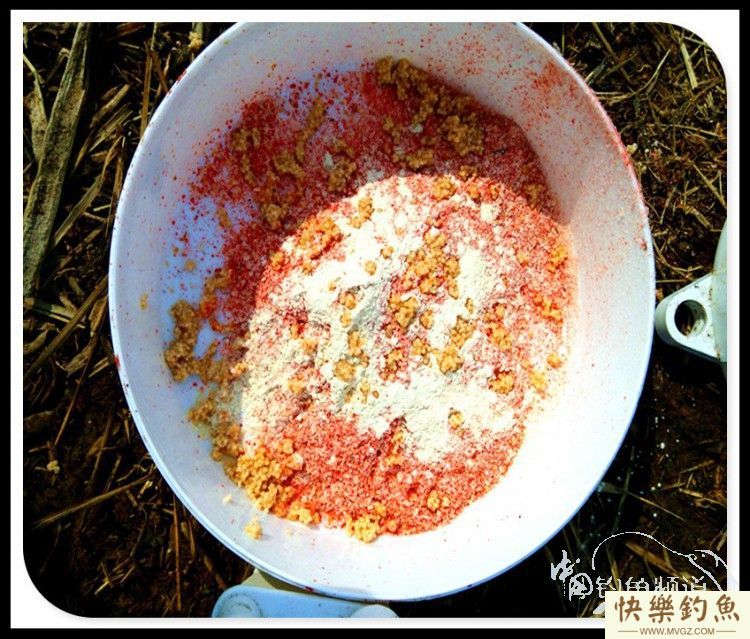 拆迁塘探钓渔获大丰-大鳊鱼大鲤鱼(图6)