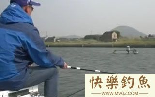 鳊鱼、鲂鱼垂钓技巧已经垂钓经验