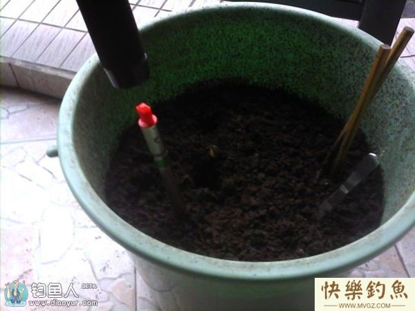 浅谈弹簧杆玉米粒钓草、鲤、鳊鱼的体会(图6)