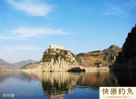 夏钓钓鲶鱼应该用什么饵料与垂钓时机的掌握(图1)