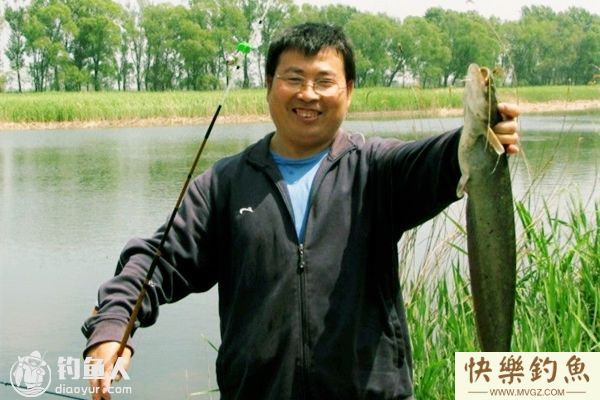 夏天钓鲶鱼的选位、用饵及钓法选择(图1)