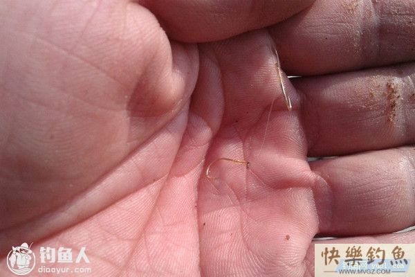 野钓子线秒切的六个因素(图1)