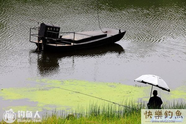 野外垂钓的钓具选择经验之我见(图1) 野外垂钓的钓具选择经验之我见(图1)
