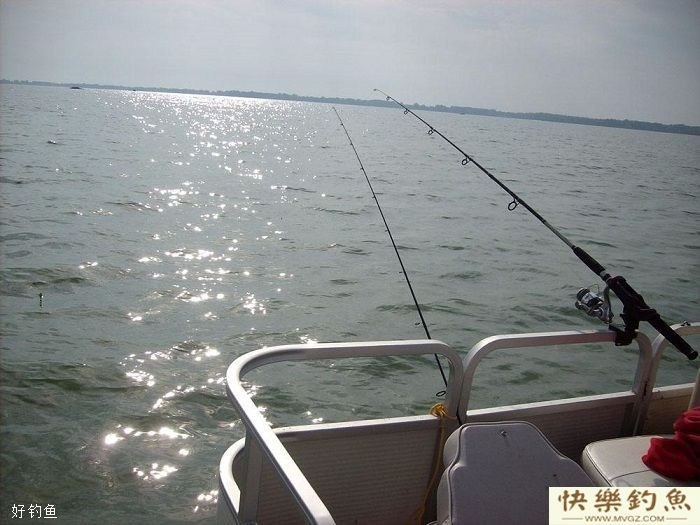 冬季鱼口太轻怎么办？三大绝招助你轻松应对轻口鱼(图3)