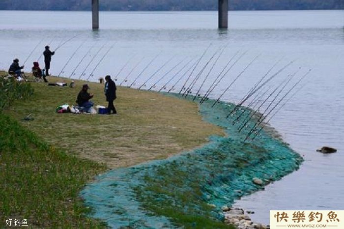 冬季鱼口太轻怎么办？三大绝招助你轻松应对轻口鱼(图2)