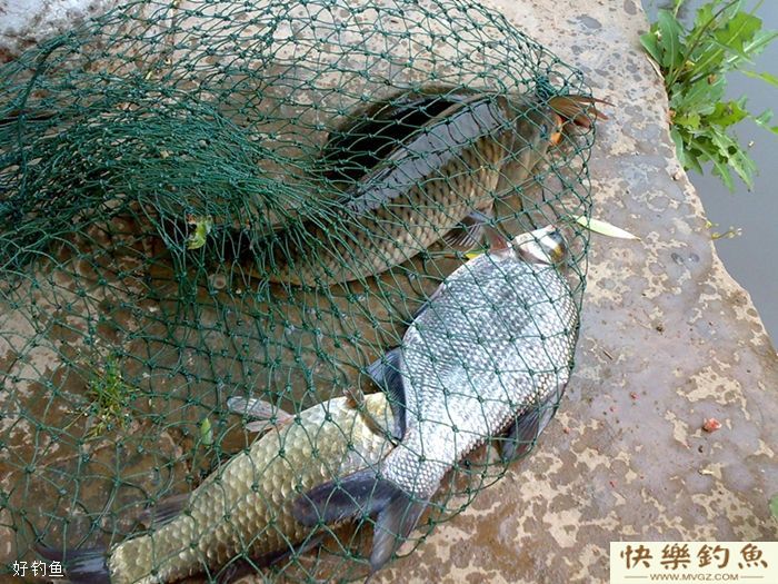 为什么冬季晴天也不好钓鱼？(图3)