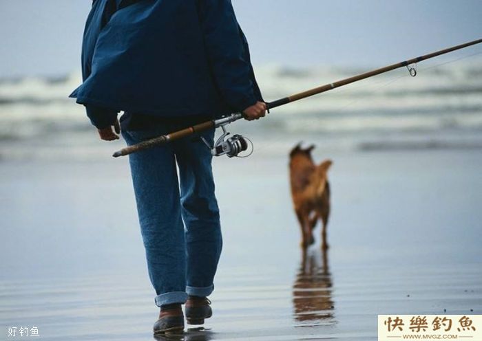 冬天钓鲫鱼,钓鱼人需要注意这四点(图3) 冬天钓鲫鱼,钓鱼人需要注意这四点(图3)