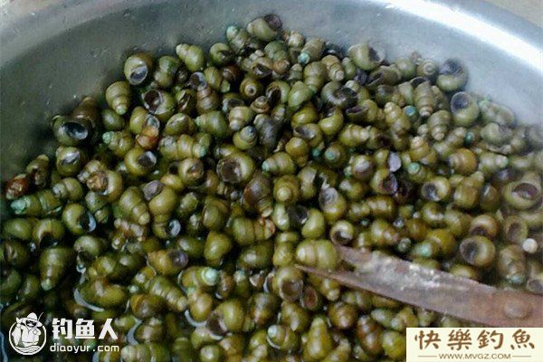 水库钓青鱼技巧经验分享(图2)