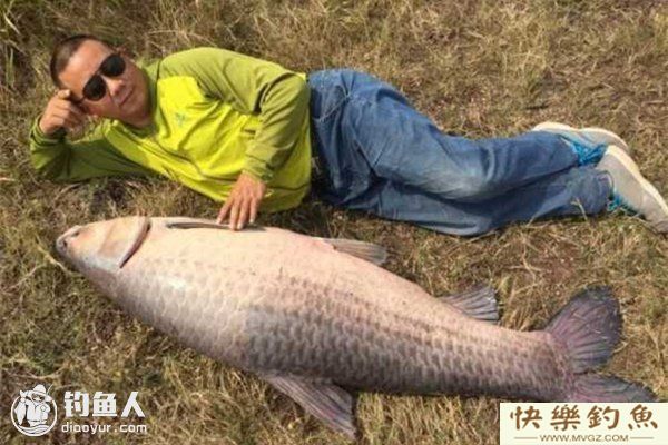 野钓青鱼的技巧（钓具、用饵、钓点选择）(图1)