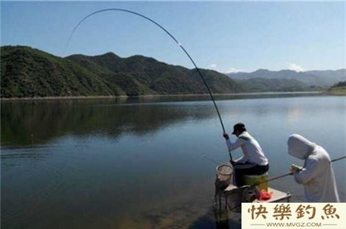 冬季钓青鱼的选位用饵及注意事项(图3)