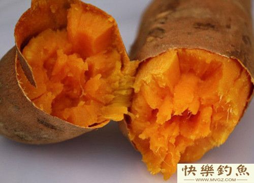 冬季钓青鱼的选位用饵及注意事项(图2)