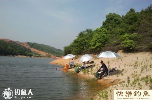 秋季水库钓鱼的技巧及青鱼的钓法(图1)