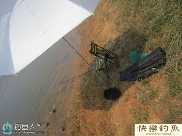 钓友分享夏季钓罗非鱼的技巧(图3)