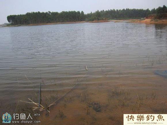 钓友分享夏季钓罗非鱼的技巧(图2)
