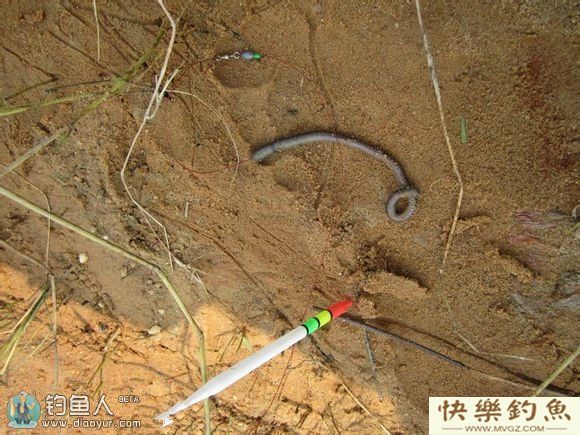 钓友分享夏季钓罗非鱼的技巧(图6)
