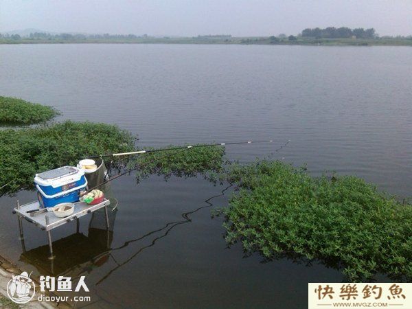 春季鳊鱼的钓点、钓具选择与施钓技巧(图1) 春季鳊鱼的钓点、钓具选择与施钓技巧(图1)
