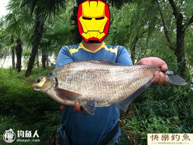 浮钓鳊鱼的技巧（饵料钓位选择等）(图1)