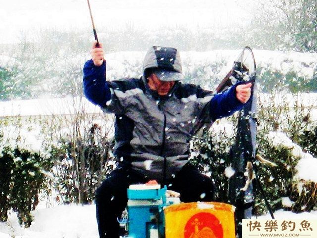 从钓场到钓技冬季野钓全攻略(图1)