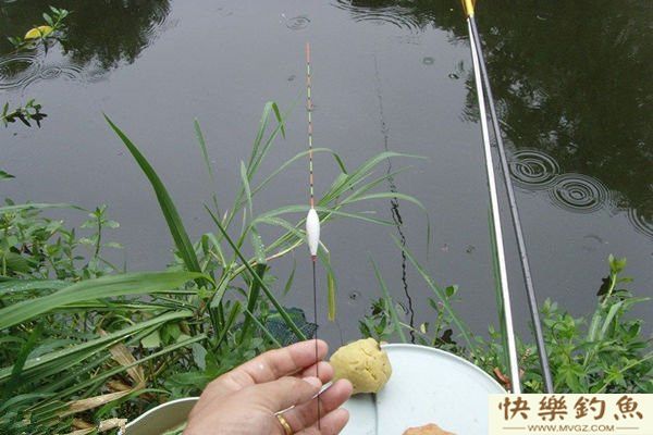 浅谈野钓调漂的体会(图1) 浅谈野钓调漂的体会(图1)
