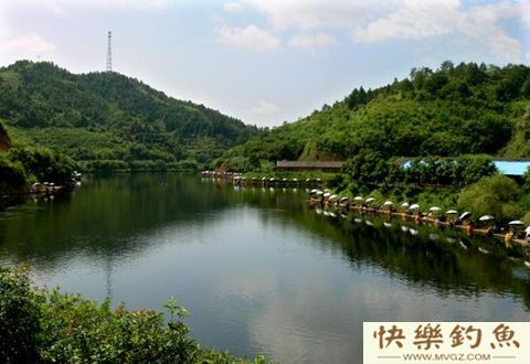 冬季节钓鱼技巧，刮风天钓点选择上风口还是下风口？(图1)