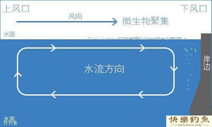 冬季节钓鱼技巧，刮风天钓点选择上风口还是下风口？(图3)
