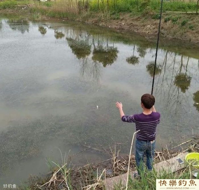 冬钓不中鱼,应该如何选择钓点?(图2) 冬钓不中鱼,应该如何选择钓点?(图2)