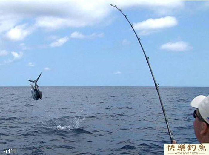 鲫鱼的食性及冬钓大鲫十技巧(图3) 鲫鱼的食性及冬钓大鲫十技巧(图3)