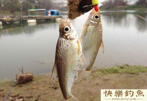 冬钓鲫鱼七不宜，知道了对冬季钓鱼大有好处！
