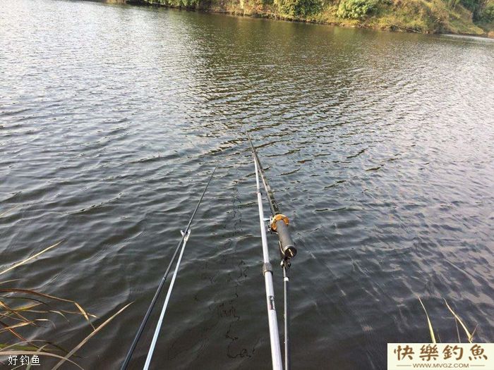 天冷钓不到鱼到底是哪里出错了?(图2) 天冷钓不到鱼到底是哪里出错了?(图2)