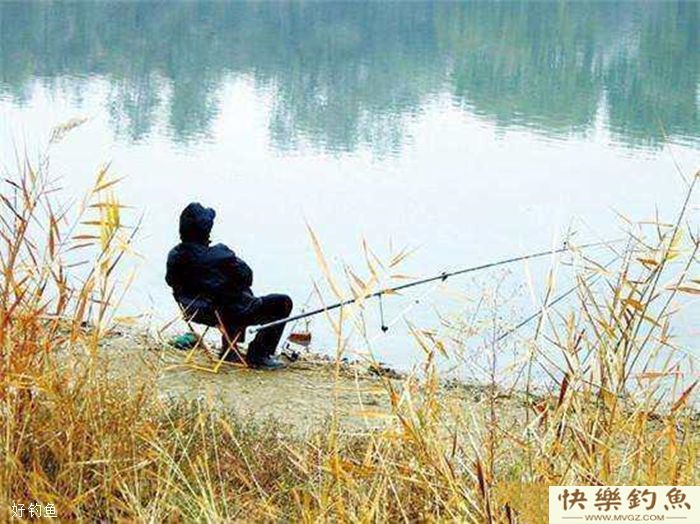 冬季钓鲫鱼5个策略让你连竿爆护(图2) 冬季钓鲫鱼5个策略让你连竿爆护(图2)