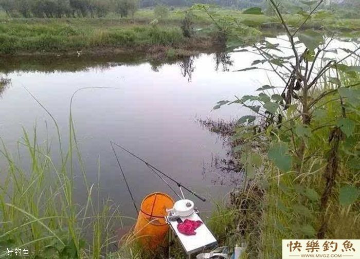 冬季野钓窍门，上鱼率提高三倍！(图2)