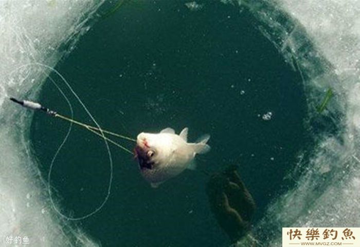 冬季钓鱼不空军的小技巧(图2) 冬季钓鱼不空军的小技巧(图2)