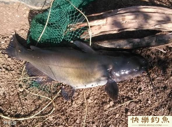 冬季钓鱼有诀窍，应该避开这4大禁忌(图2)