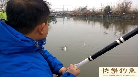 冬天能不能钓青鱼?分享3个冬钓青鱼技巧(图2) 冬天能不能钓青鱼?分享3个冬钓青鱼技巧(图2)