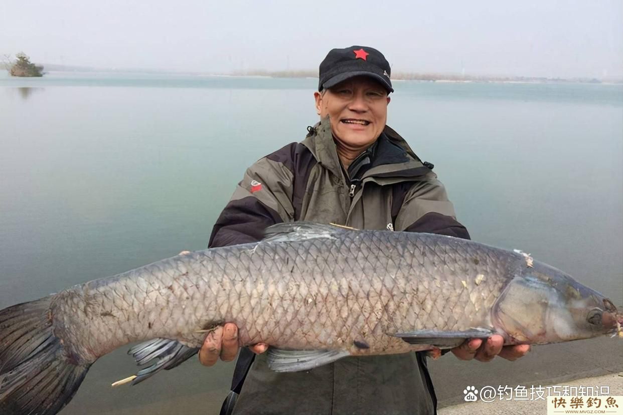 冬天怎样钓青鱼？关键是寻找鱼窝、鱼饵味型和打窝技巧(图2)