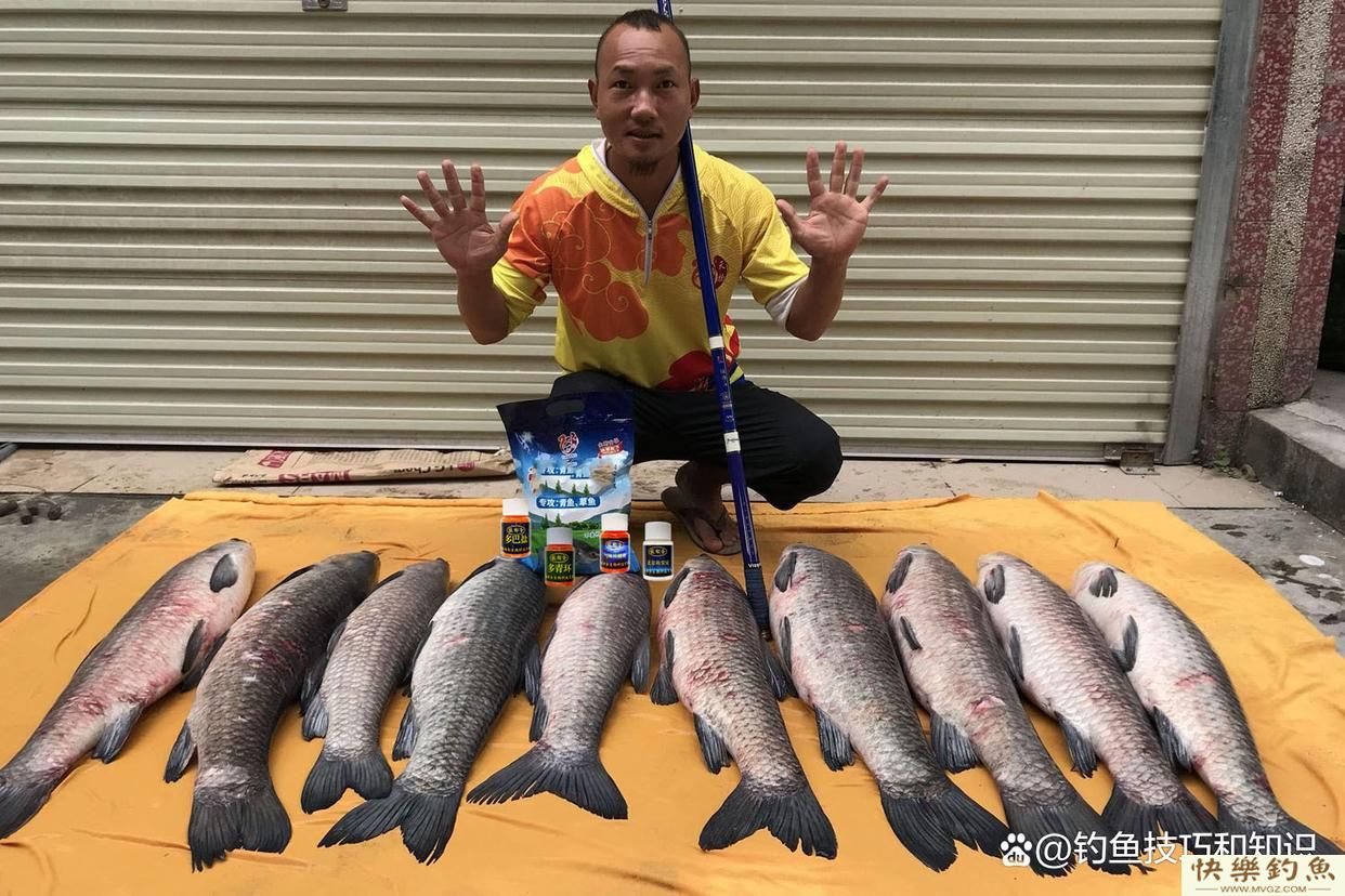 冬天怎样钓青鱼？关键是寻找鱼窝、鱼饵味型和打窝技巧(图4)