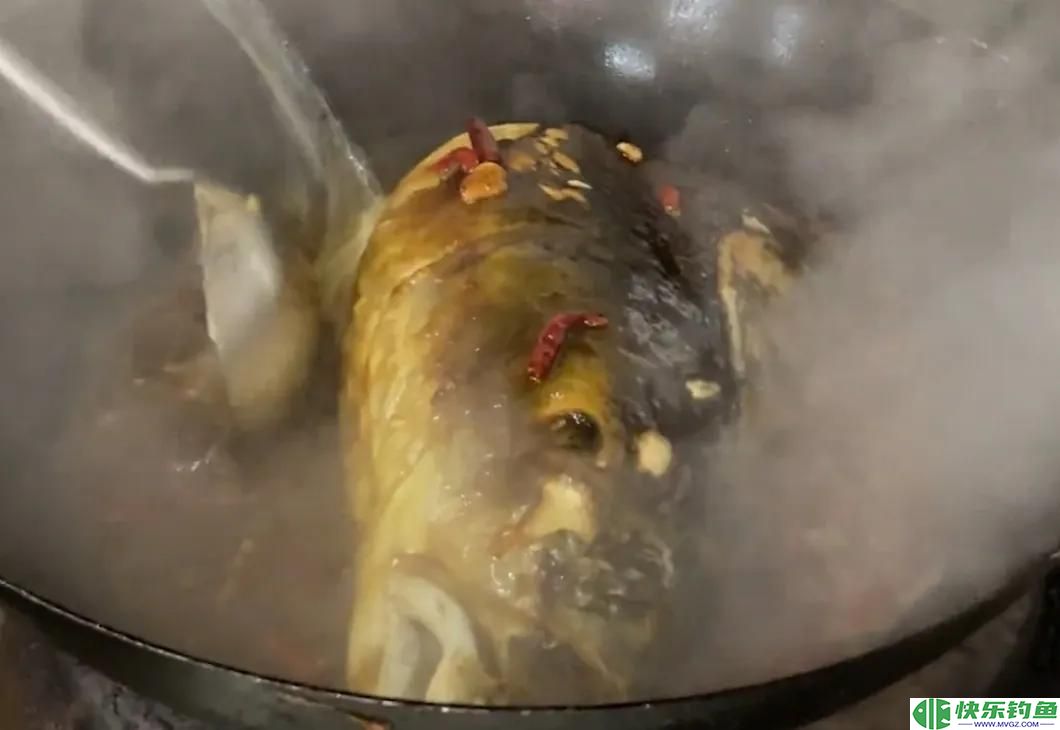 1.73米长，1.05米粗的青鱼有多重？钓友花5万8买回家，结果亏惨了(图17)