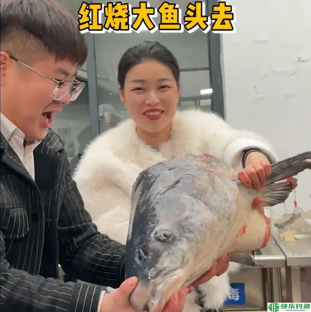 1.73米长，1.05米粗的青鱼有多重？钓友花5万8买回家，结果亏惨了(图16)